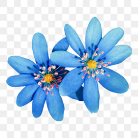 蓝色花朵背景(blue-flower-flowers-background)_图片- 图库- 爱给网